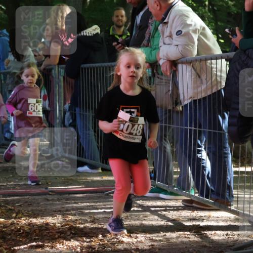 28.09.2025 - 33. Volkslauf durch das schöne Alstertal Strokosch-Dieckow http://msf.ph/oto/8958937 28.09.2025 10:42:38 Ziel  meine-sportfotos.de
