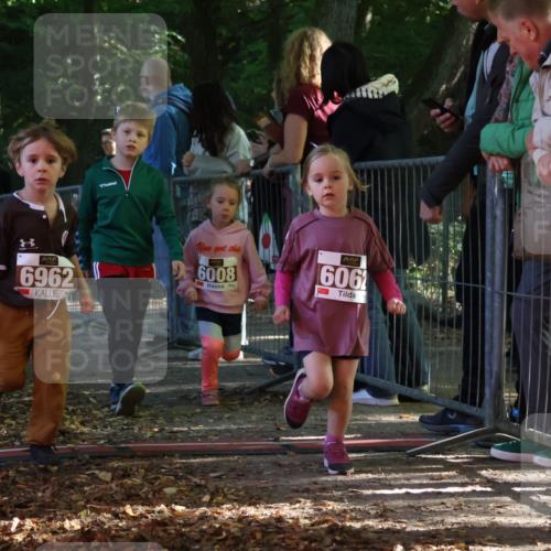 28.09.2025 - 33. Volkslauf durch das schöne Alstertal Strokosch-Dieckow http://msf.ph/oto/8958939 28.09.2025 10:42:39 Ziel  meine-sportfotos.de