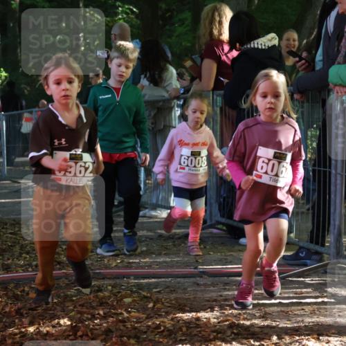 28.09.2025 - 33. Volkslauf durch das schöne Alstertal Strokosch-Dieckow http://msf.ph/oto/8958941 28.09.2025 10:42:39 Ziel  meine-sportfotos.de