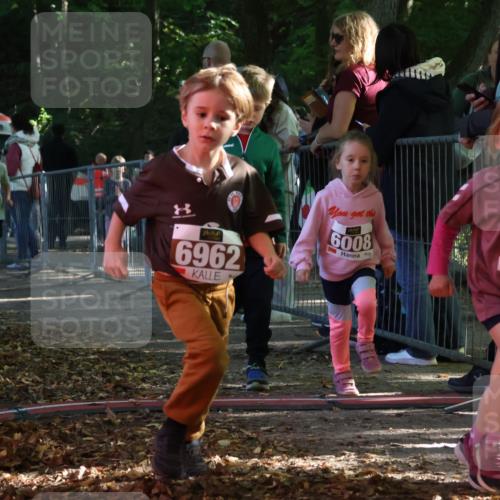 28.09.2025 - 33. Volkslauf durch das schöne Alstertal Strokosch-Dieckow http://msf.ph/oto/8958944 28.09.2025 10:42:39 Ziel  meine-sportfotos.de