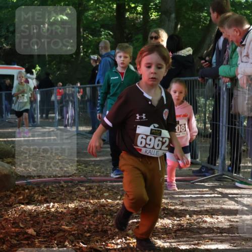 28.09.2025 - 33. Volkslauf durch das schöne Alstertal Strokosch-Dieckow http://msf.ph/oto/8958946 28.09.2025 10:42:40 Ziel  meine-sportfotos.de