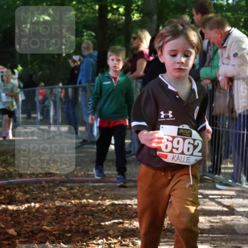 28.09.2025 - 33. Volkslauf durch das schöne Alstertal Strokosch-Dieckow http://msf.ph/oto/8958948 28.09.2025 10:42:40 Ziel  meine-sportfotos.de