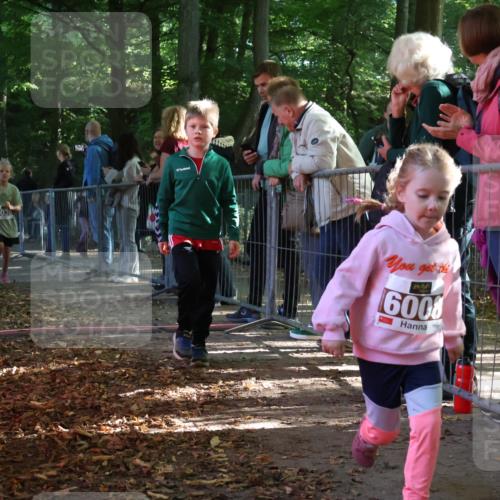 28.09.2025 - 33. Volkslauf durch das schöne Alstertal Strokosch-Dieckow http://msf.ph/oto/8958952 28.09.2025 10:42:41 Ziel  meine-sportfotos.de