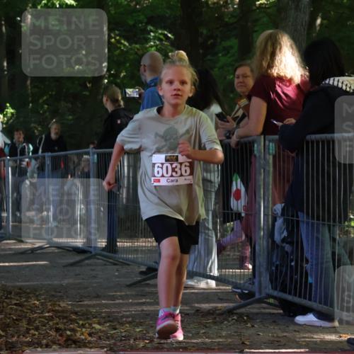 28.09.2025 - 33. Volkslauf durch das schöne Alstertal Strokosch-Dieckow http://msf.ph/oto/8958961 28.09.2025 10:42:43 Ziel  meine-sportfotos.de