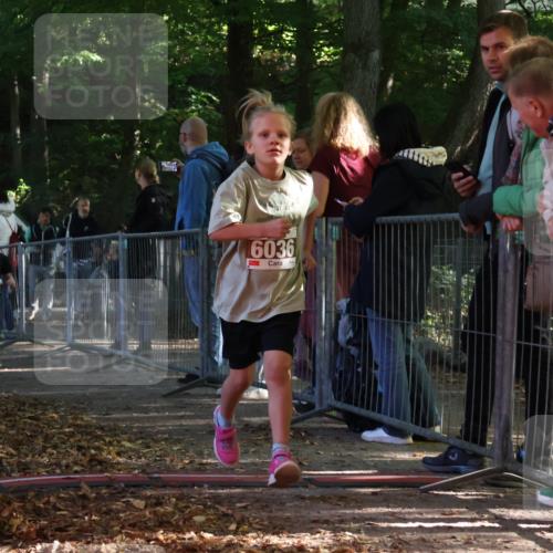 28.09.2025 - 33. Volkslauf durch das schöne Alstertal Strokosch-Dieckow http://msf.ph/oto/8958963 28.09.2025 10:42:44 Ziel  meine-sportfotos.de