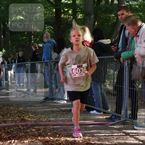 28.09.2025 - 33. Volkslauf durch das schöne Alstertal Strokosch-Dieckow http://msf.ph/oto/8958965 28.09.2025 10:42:44 Ziel  meine-sportfotos.de