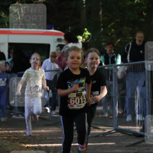 28.09.2025 - 33. Volkslauf durch das schöne Alstertal Strokosch-Dieckow http://msf.ph/oto/8958968 28.09.2025 10:42:45 Ziel  meine-sportfotos.de