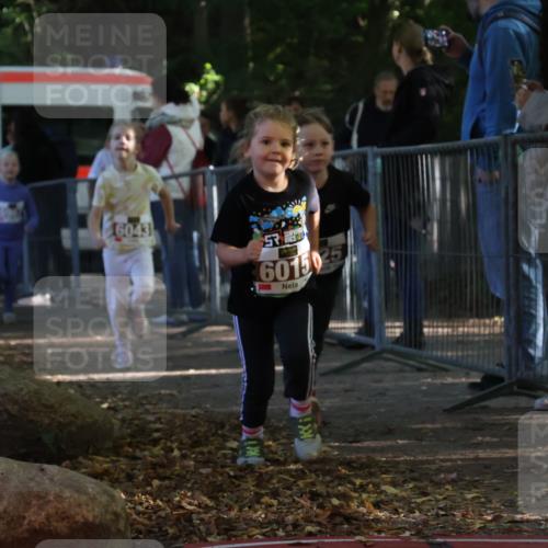 28.09.2025 - 33. Volkslauf durch das schöne Alstertal Strokosch-Dieckow http://msf.ph/oto/8958969 28.09.2025 10:42:46 Ziel  meine-sportfotos.de