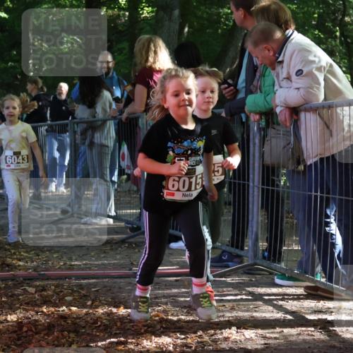 28.09.2025 - 33. Volkslauf durch das schöne Alstertal Strokosch-Dieckow http://msf.ph/oto/8958979 28.09.2025 10:42:48 Ziel  meine-sportfotos.de