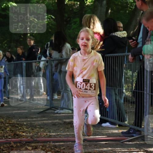 28.09.2025 - 33. Volkslauf durch das schöne Alstertal Strokosch-Dieckow http://msf.ph/oto/8958986 28.09.2025 10:42:49 Ziel  meine-sportfotos.de