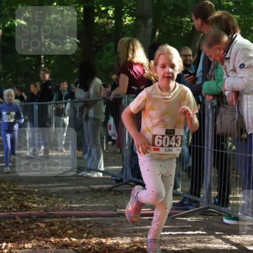 28.09.2025 - 33. Volkslauf durch das schöne Alstertal Strokosch-Dieckow http://msf.ph/oto/8958989 28.09.2025 10:42:49 Ziel  meine-sportfotos.de