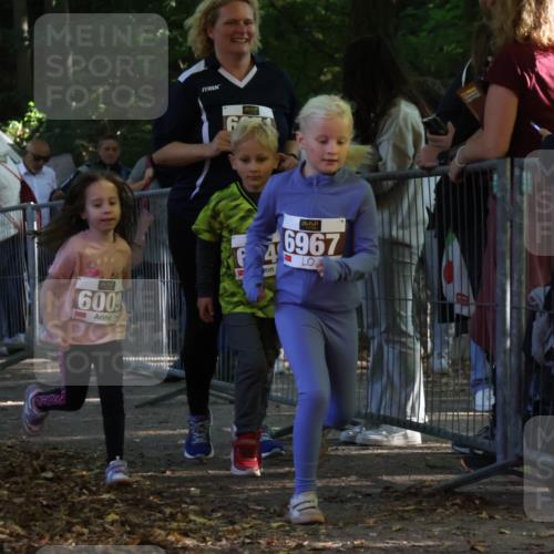 28.09.2025 - 33. Volkslauf durch das schöne Alstertal Strokosch-Dieckow http://msf.ph/oto/8958993 28.09.2025 10:42:51 Ziel  meine-sportfotos.de