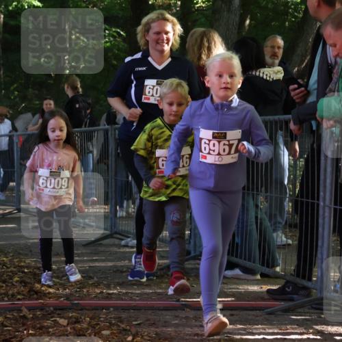 28.09.2025 - 33. Volkslauf durch das schöne Alstertal Strokosch-Dieckow http://msf.ph/oto/8958995 28.09.2025 10:42:52 Ziel  meine-sportfotos.de