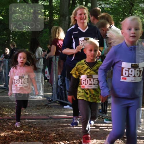 28.09.2025 - 33. Volkslauf durch das schöne Alstertal Strokosch-Dieckow http://msf.ph/oto/8959000 28.09.2025 10:42:53 Ziel  meine-sportfotos.de