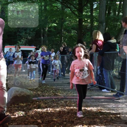 28.09.2025 - 33. Volkslauf durch das schöne Alstertal Strokosch-Dieckow http://msf.ph/oto/8959003 28.09.2025 10:42:54 Ziel  meine-sportfotos.de