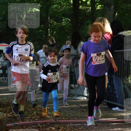 28.09.2025 - 33. Volkslauf durch das schöne Alstertal Strokosch-Dieckow http://msf.ph/oto/8959014 28.09.2025 10:42:56 Ziel  meine-sportfotos.de