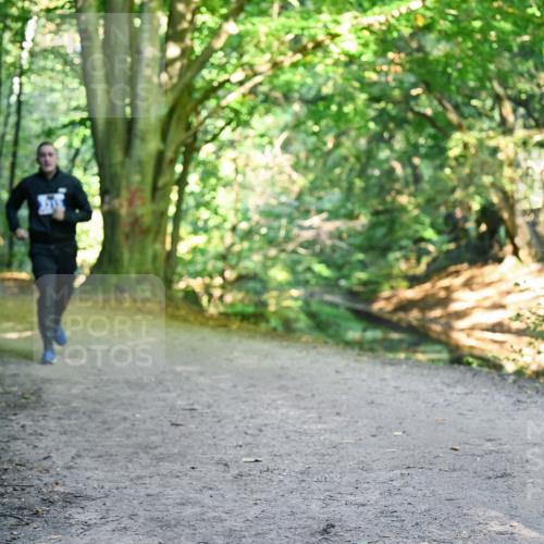 28.09.2025 - 33. Volkslauf durch das schöne Alstertal Dr. Thomas Lammeyer http://msf.ph/oto/8959016 28.09.2025 10:53:14 Laufen  meine-sportfotos.de