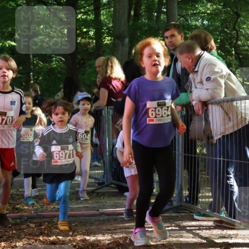 28.09.2025 - 33. Volkslauf durch das schöne Alstertal Strokosch-Dieckow http://msf.ph/oto/8959020 28.09.2025 10:42:57 Ziel  meine-sportfotos.de