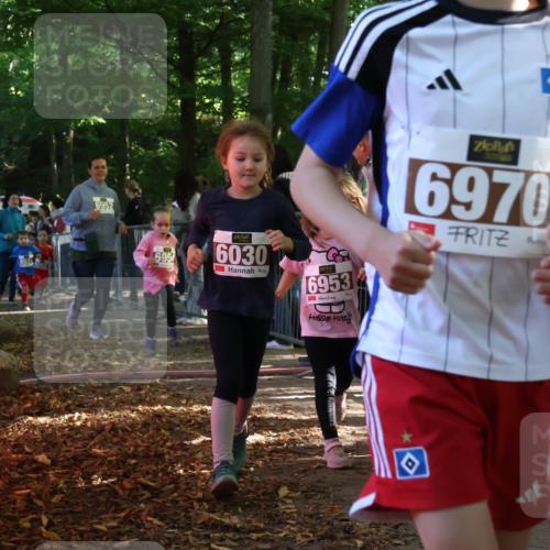 28.09.2025 - 33. Volkslauf durch das schöne Alstertal Strokosch-Dieckow http://msf.ph/oto/8959033 28.09.2025 10:42:59 Ziel  meine-sportfotos.de