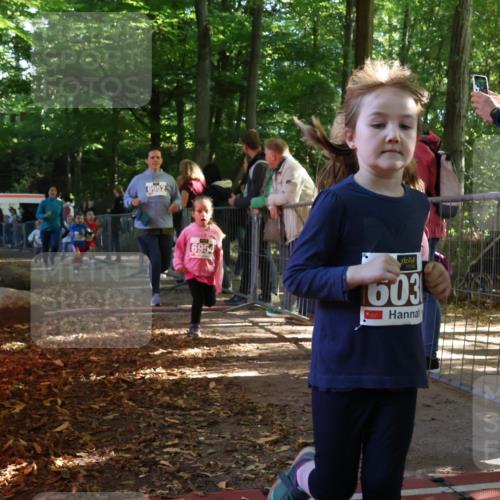 28.09.2025 - 33. Volkslauf durch das schöne Alstertal Strokosch-Dieckow http://msf.ph/oto/8959041 28.09.2025 10:43:00 Ziel  meine-sportfotos.de