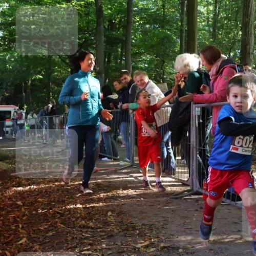 28.09.2025 - 33. Volkslauf durch das schöne Alstertal Strokosch-Dieckow http://msf.ph/oto/8959058 28.09.2025 10:43:04 Ziel  meine-sportfotos.de