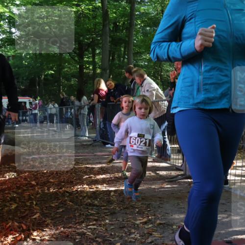 28.09.2025 - 33. Volkslauf durch das schöne Alstertal Strokosch-Dieckow http://msf.ph/oto/8959068 28.09.2025 10:43:06 Ziel  meine-sportfotos.de
