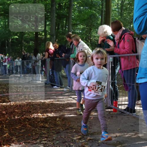 28.09.2025 - 33. Volkslauf durch das schöne Alstertal Strokosch-Dieckow http://msf.ph/oto/8959071 28.09.2025 10:43:06 Ziel  meine-sportfotos.de