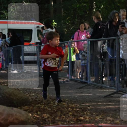 28.09.2025 - 33. Volkslauf durch das schöne Alstertal Strokosch-Dieckow http://msf.ph/oto/8959073 28.09.2025 10:43:10 Ziel  meine-sportfotos.de