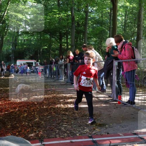 28.09.2025 - 33. Volkslauf durch das schöne Alstertal Strokosch-Dieckow http://msf.ph/oto/8959083 28.09.2025 10:43:13 Ziel  meine-sportfotos.de