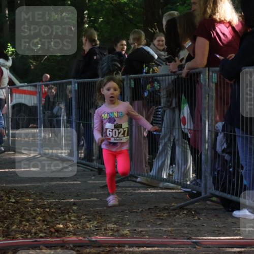 28.09.2025 - 33. Volkslauf durch das schöne Alstertal Strokosch-Dieckow http://msf.ph/oto/8959089 28.09.2025 10:43:15 Ziel  meine-sportfotos.de