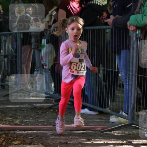 28.09.2025 - 33. Volkslauf durch das schöne Alstertal Strokosch-Dieckow http://msf.ph/oto/8959094 28.09.2025 10:43:17 Ziel  meine-sportfotos.de