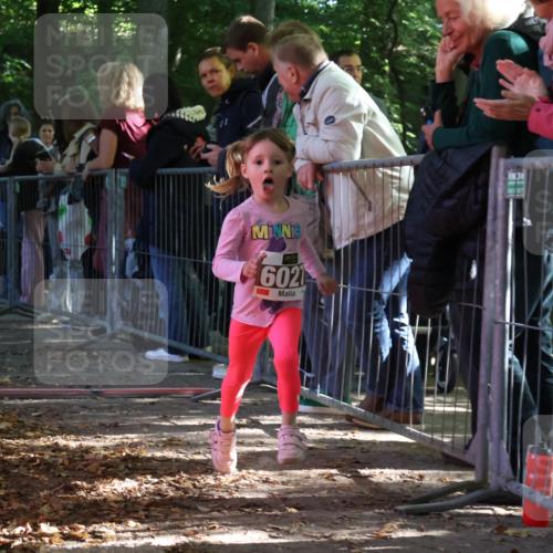 28.09.2025 - 33. Volkslauf durch das schöne Alstertal Strokosch-Dieckow http://msf.ph/oto/8959096 28.09.2025 10:43:17 Ziel  meine-sportfotos.de