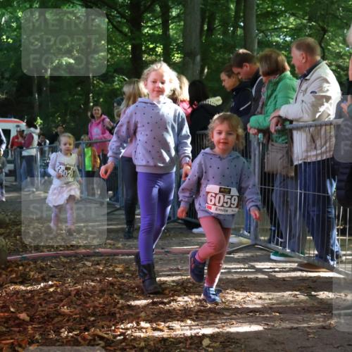 28.09.2025 - 33. Volkslauf durch das schöne Alstertal Strokosch-Dieckow http://msf.ph/oto/8959109 28.09.2025 10:43:21 Ziel  meine-sportfotos.de