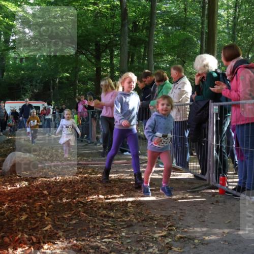 28.09.2025 - 33. Volkslauf durch das schöne Alstertal Strokosch-Dieckow http://msf.ph/oto/8959112 28.09.2025 10:43:21 Ziel  meine-sportfotos.de