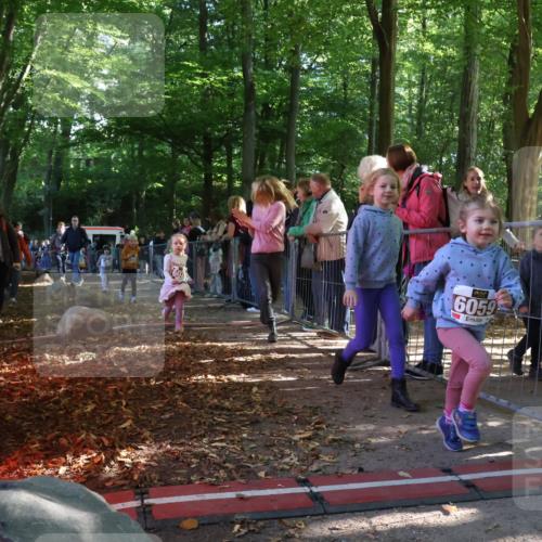 28.09.2025 - 33. Volkslauf durch das schöne Alstertal Strokosch-Dieckow http://msf.ph/oto/8959117 28.09.2025 10:43:22 Ziel  meine-sportfotos.de