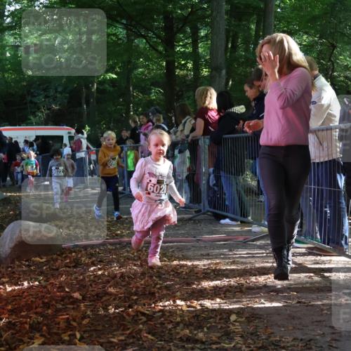 28.09.2025 - 33. Volkslauf durch das schöne Alstertal Strokosch-Dieckow http://msf.ph/oto/8959120 28.09.2025 10:43:22 Ziel  meine-sportfotos.de