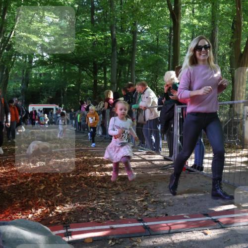 28.09.2025 - 33. Volkslauf durch das schöne Alstertal Strokosch-Dieckow http://msf.ph/oto/8959125 28.09.2025 10:43:24 Ziel  meine-sportfotos.de