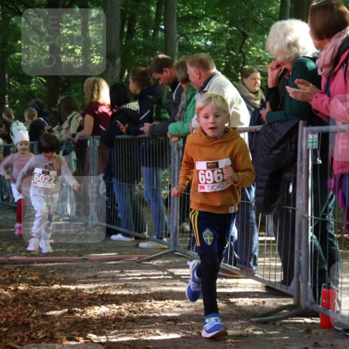 28.09.2025 - 33. Volkslauf durch das schöne Alstertal Strokosch-Dieckow http://msf.ph/oto/8959132 28.09.2025 10:43:25 Ziel  meine-sportfotos.de
