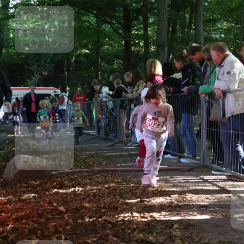 28.09.2025 - 33. Volkslauf durch das schöne Alstertal Strokosch-Dieckow http://msf.ph/oto/8959137 28.09.2025 10:43:27 Ziel  meine-sportfotos.de