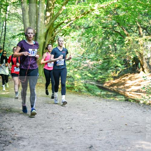 28.09.2025 - 33. Volkslauf durch das schöne Alstertal Dr. Thomas Lammeyer http://msf.ph/oto/8959140 28.09.2025 10:53:28 Laufen 3901, 3252, 3139, 3958, 3251 meine-sportfotos.de