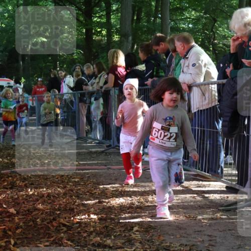 28.09.2025 - 33. Volkslauf durch das schöne Alstertal Strokosch-Dieckow http://msf.ph/oto/8959142 28.09.2025 10:43:27 Ziel  meine-sportfotos.de