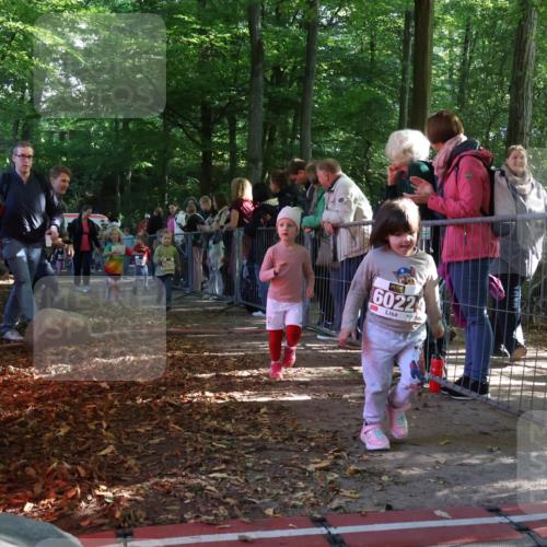 28.09.2025 - 33. Volkslauf durch das schöne Alstertal Strokosch-Dieckow http://msf.ph/oto/8959144 28.09.2025 10:43:28 Ziel  meine-sportfotos.de