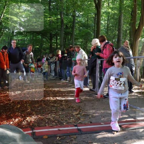 28.09.2025 - 33. Volkslauf durch das schöne Alstertal Strokosch-Dieckow http://msf.ph/oto/8959148 28.09.2025 10:43:28 Ziel  meine-sportfotos.de