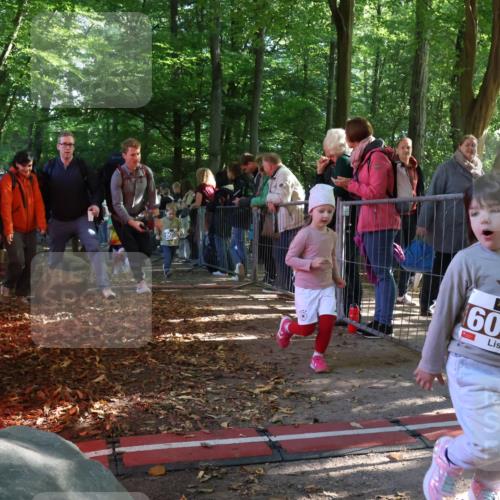 28.09.2025 - 33. Volkslauf durch das schöne Alstertal Strokosch-Dieckow http://msf.ph/oto/8959150 28.09.2025 10:43:29 Ziel  meine-sportfotos.de