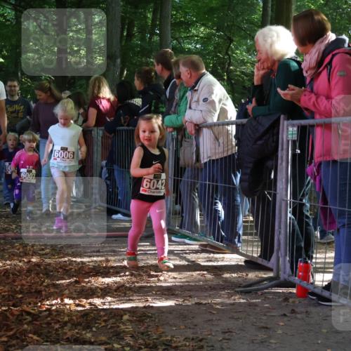 28.09.2025 - 33. Volkslauf durch das schöne Alstertal Strokosch-Dieckow http://msf.ph/oto/8959183 28.09.2025 10:43:38 Ziel  meine-sportfotos.de