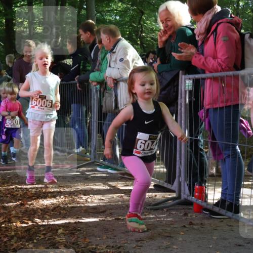 28.09.2025 - 33. Volkslauf durch das schöne Alstertal Strokosch-Dieckow http://msf.ph/oto/8959189 28.09.2025 10:43:39 Ziel  meine-sportfotos.de