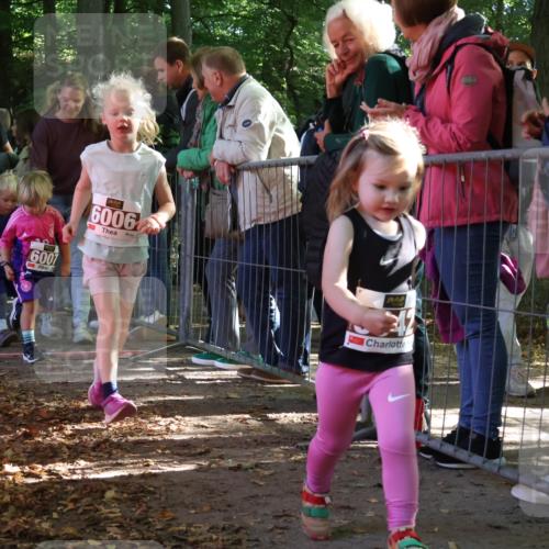 28.09.2025 - 33. Volkslauf durch das schöne Alstertal Strokosch-Dieckow http://msf.ph/oto/8959191 28.09.2025 10:43:40 Ziel  meine-sportfotos.de