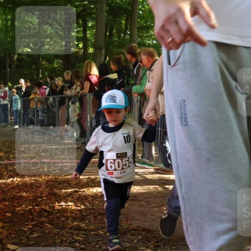28.09.2025 - 33. Volkslauf durch das schöne Alstertal Strokosch-Dieckow http://msf.ph/oto/8959211 28.09.2025 10:43:43 Ziel  meine-sportfotos.de