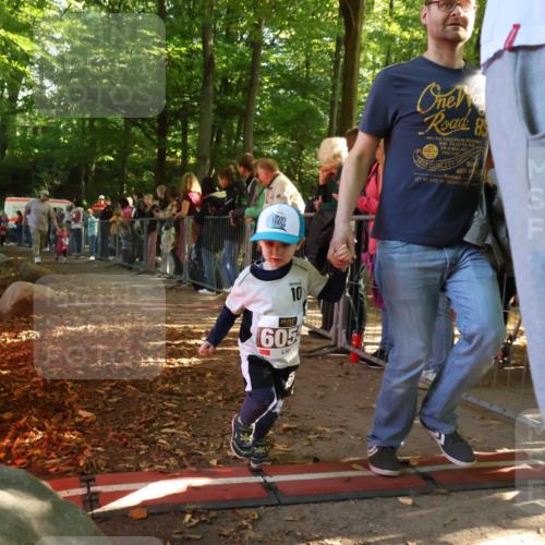 28.09.2025 - 33. Volkslauf durch das schöne Alstertal Strokosch-Dieckow http://msf.ph/oto/8959213 28.09.2025 10:43:44 Ziel  meine-sportfotos.de