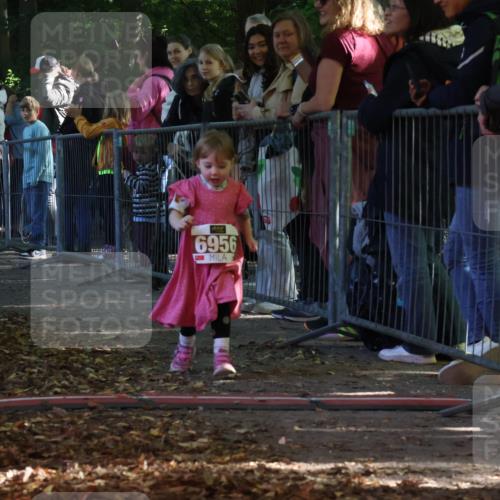 28.09.2025 - 33. Volkslauf durch das schöne Alstertal Strokosch-Dieckow http://msf.ph/oto/8959220 28.09.2025 10:43:48 Ziel  meine-sportfotos.de